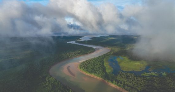 Amazonas