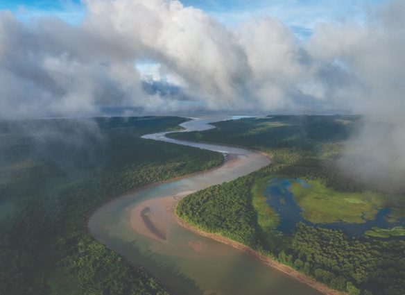 Amazonas