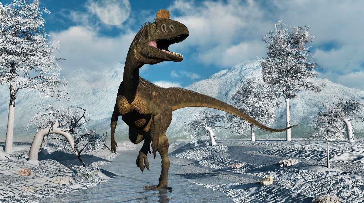 Dinosaurs died frozen, not burned, study says