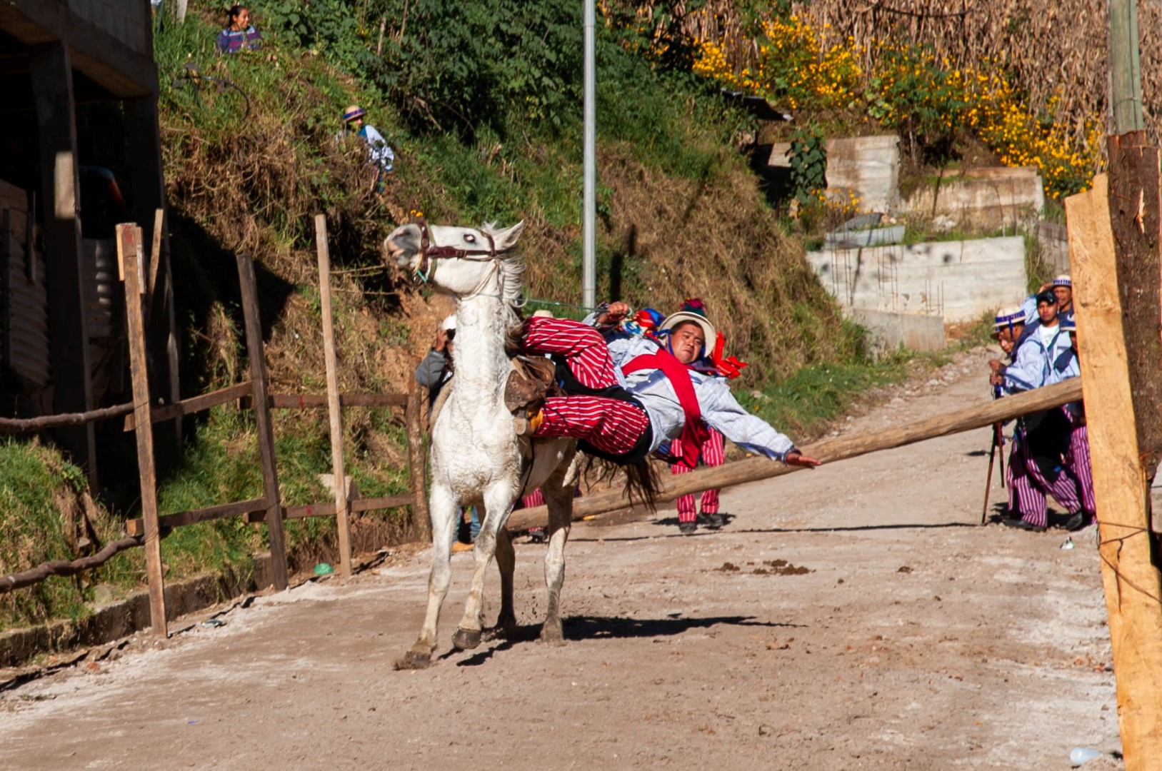 Carrera de Cintas La fiesta mas esperada del Dia de Todos los Santos