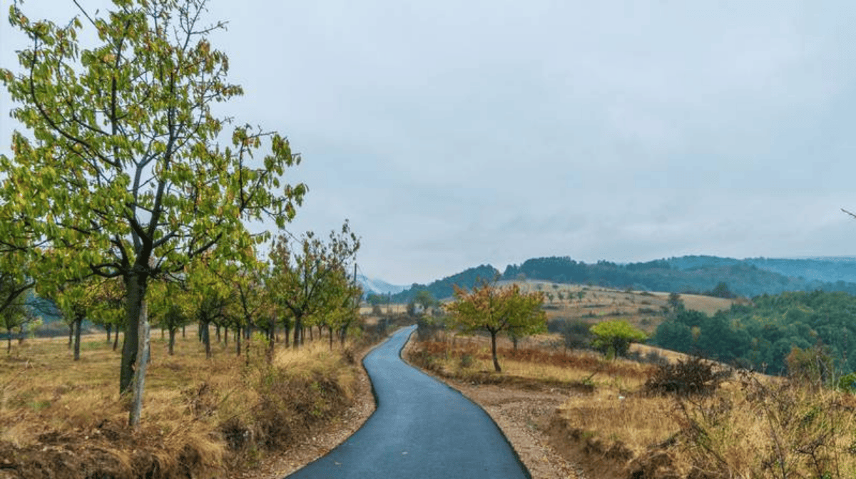 atraviesa-rumania-en-el-sendero-que-te-llevara-por-el-pais-de-dracula