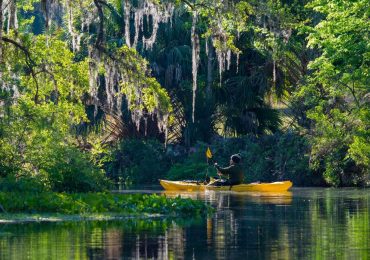 Bosque Nacional Ocala, un paraíso de 600 lagos y manantiales en Florida