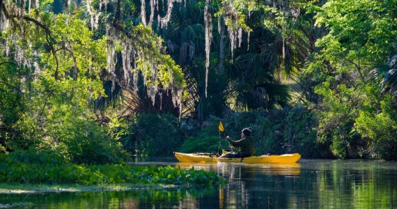 Bosque Nacional Ocala, un paraíso de 600 lagos y manantiales en Florida