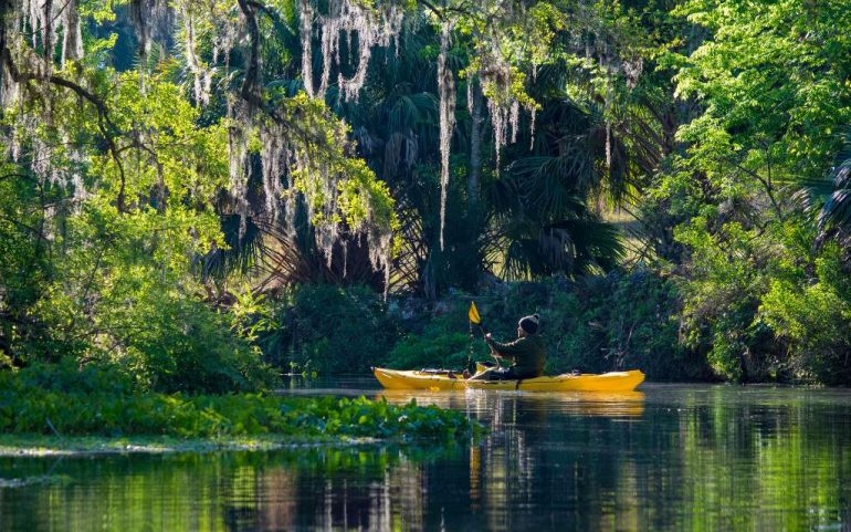 Bosque Nacional Ocala, un paraíso de 600 lagos y manantiales en Florida