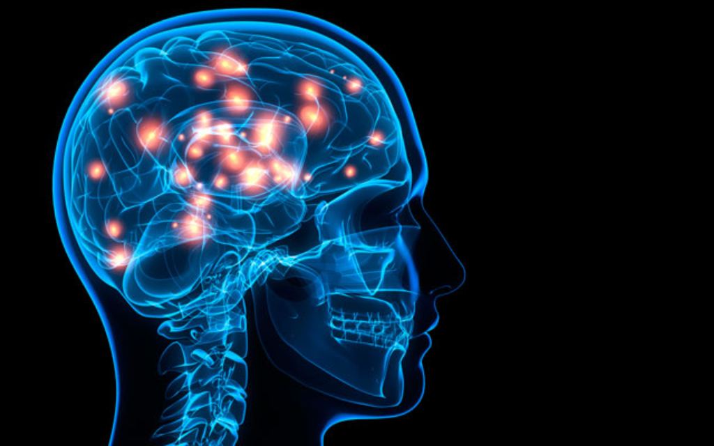 Tu cerebro te engaña y se corrige: Así se crean los deja vu Lo que ocurre en tu cerebro cuando experimentas un déjà vu