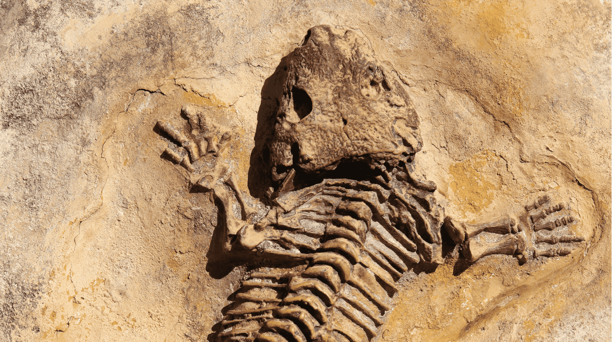 descubren-huellas-de-la-prehistoria-en-los-alpes-durante-una-caminata