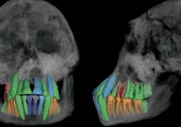 dientes fósiles