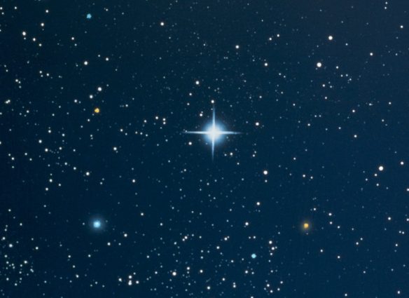 Vega estrella