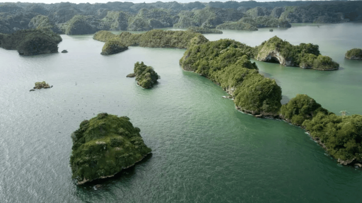 samaná-en-el-siglo-XVI-esta-península-fue-refugio-de-piratas-explórala