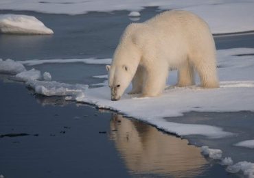 El primer día sin hielo en el Ártico podría ocurrir en menos de tres años