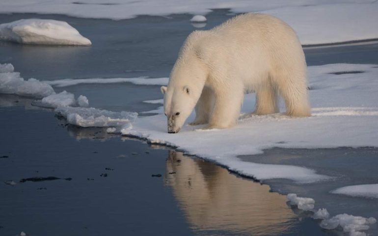 El primer día sin hielo en el Ártico podría ocurrir en menos de tres años