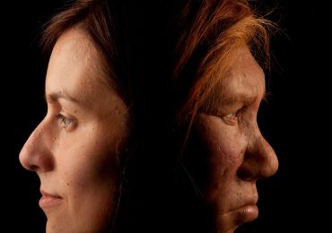 al humano moderno del neandertal