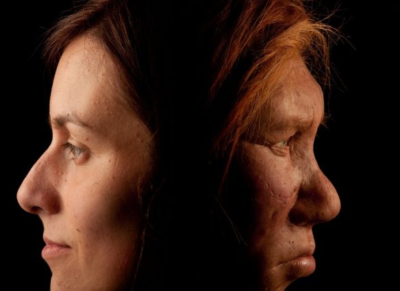 al humano moderno del neandertal