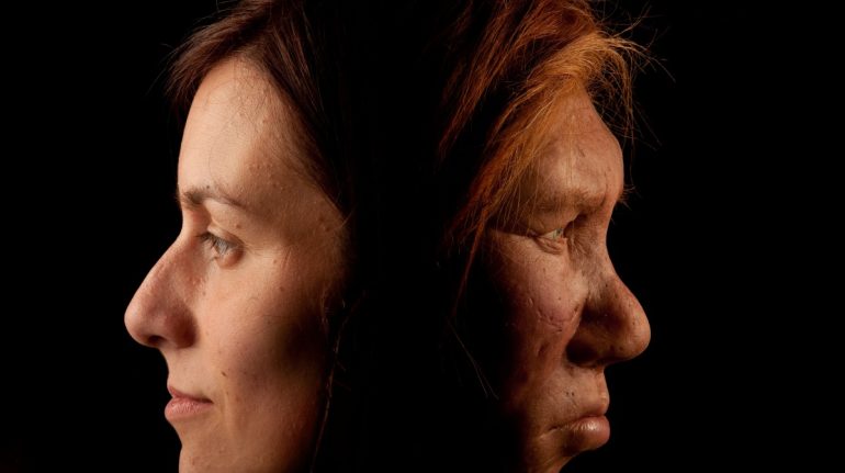 al humano moderno del neandertal