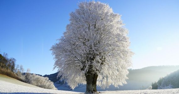 Solsticio de invierno