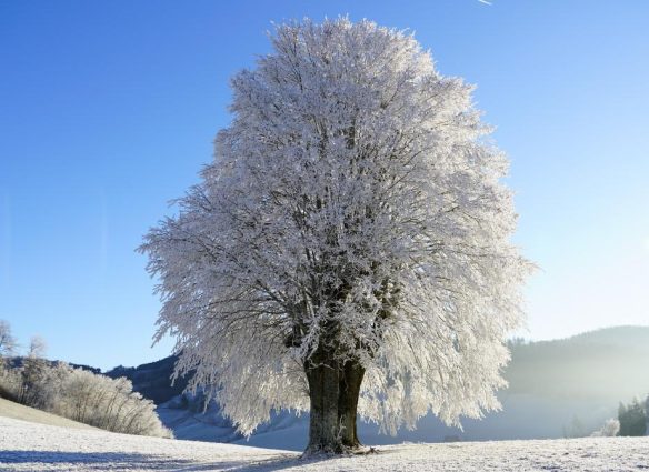 Solsticio de invierno