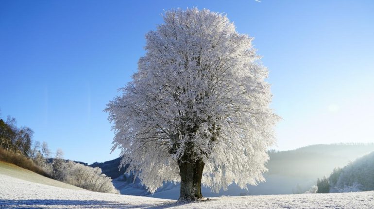 Solsticio de invierno