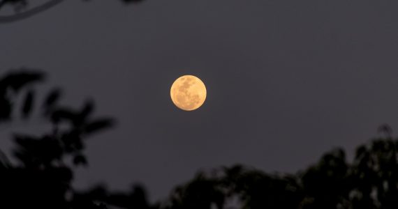 La Luna de Lobo ocultará a Marte