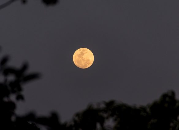 La Luna de Lobo ocultará a Marte