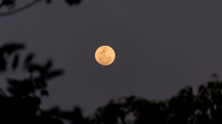 La Luna de Lobo ocultará a Marte